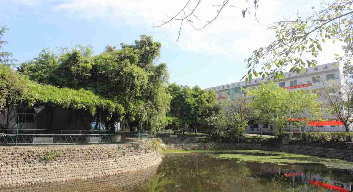 学校相册